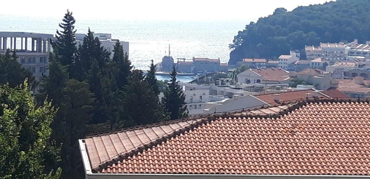 Apartmani Neda Bane Petrovac Ngoại thất bức ảnh